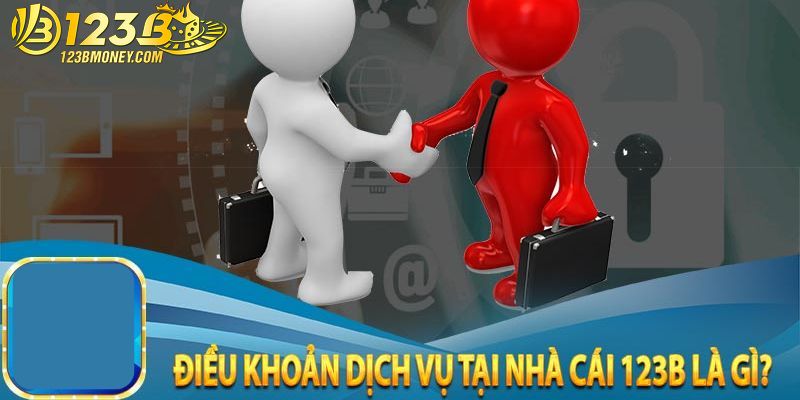 điều khoản điều kiện